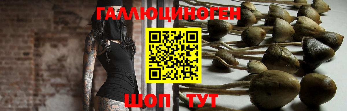 Галлюциногенные грибы прущие грибы Усинск